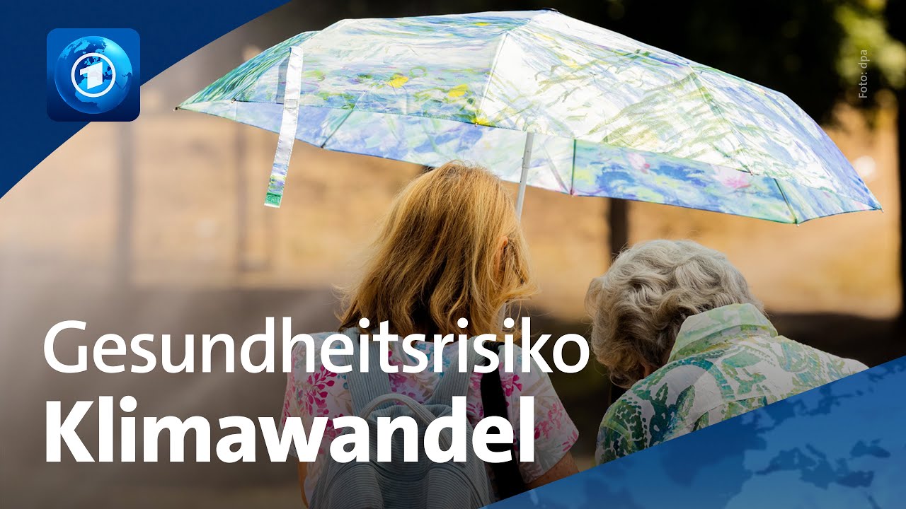 Weltklimakonferenz in Brasilien: Wie das Klima die Gesundheit beeinflusst