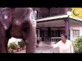 Annai Kaligambal Tamil Devotional Full Movie Ramya Krishnan Anu Prabhakar Livingston