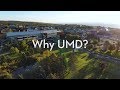 Why UMD?