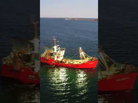 Punta Verde San Antonio Oeste Rio Negro #pesquero #motorhome #patagonia #rionegro