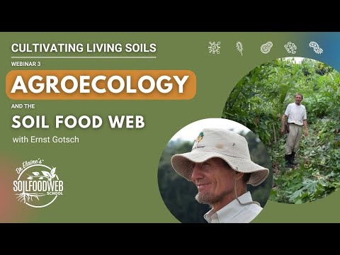 The Power of Agroecology and Soil Food Webs