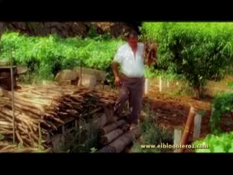 Los sonidos de Bodegas Monje