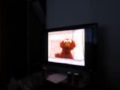 MVI 5487 Sesame Street Episodes