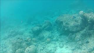 Traveling to Feridhoo Island  The Maldives