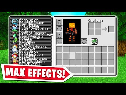 MINECRAFT BUT WITH EVERY EFFECT..