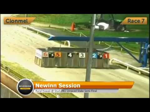 Newinn Session - Rural Hawaii @ Stud ON1 Unraced Stake Semi Final