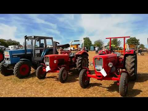 4. Bulldog treffen der Halsbacher Dreschfreunde bei Lohr am Main Halsbach mit Oldtimer Traktoren