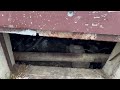 Drain Flies Take Over & Fester in Crawl Space in Bound Brook, NJ