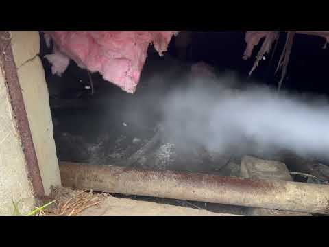 Drain Flies Take Over & Fester in Crawl Space in Bound Brook, NJ