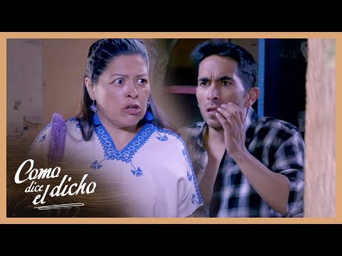 Tomasa discovers that Ruperto went to extremes with Jacinta | As the saying goes 4/5 | While you go