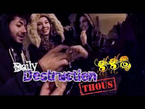 Daily Destruction Thous 338 - Gijón día 2! Party, Gaviotas asesinas y Temazos de Flauta!