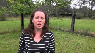 Natural Medicine Treatment for Hashimoto's