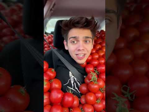 Arabam Domatesle Dolu!