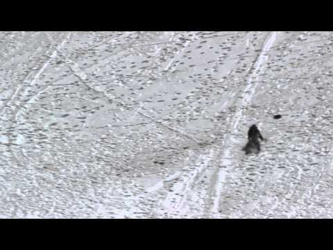 Mauna kea on a Mc Donalds tray