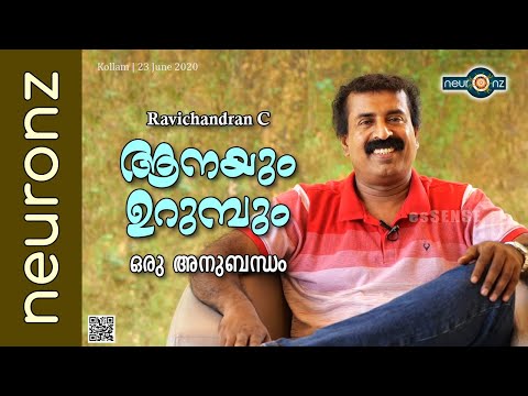ആനയും ഉറുമ്പും - ഒരു അനുബന്ധം - രവിചന്ദ്രൻ സി | Anayum Urumbum - Oru Anubandham - Ravichandran C