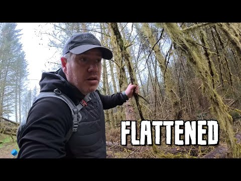 DESTROYED By Wind - Hiking Through A Dangerous Storm Flattened Forest