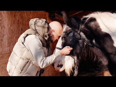 Ferkó7 - Ennyi már jár nekem (Official Music Video)