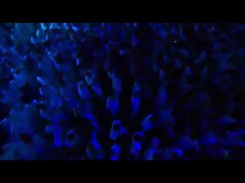 Fedde Le Grand & Joris Voorn Sensation Innerspace US 2012 NYC Liveset Recap Aftermovie Post Event