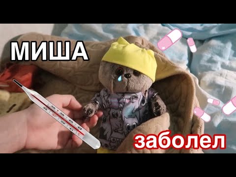 КОТ БАСИК ЗАБОЛЕЛ / Миша попал в больницу