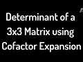 Determinant of a 3 x 3 Matrix Using Cofactor ...
