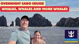 Cruising into Cabo in Whale Migration Season - Cabo Overnight Cruise