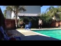 Pac Man Jumping In The Pool