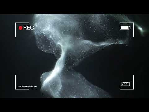 Beyond Modern Science | SonoEnergetics®