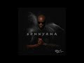 Dark Horse SOMNYAMA Album Mix 2025
