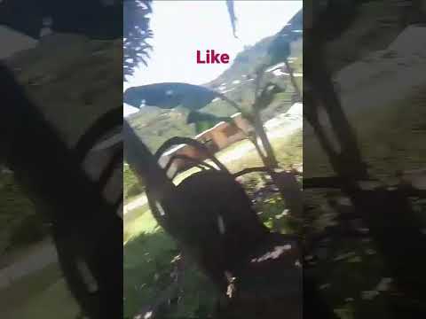 12 de agosto de 2023