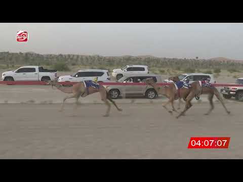  ش 5 (جلموده) لـ ذياب خالد بن محمد مترف 6:45 ، شارة الشيخ طحنون 2026/8/23 لقايا الخزنة