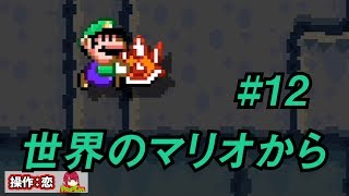 【マリオメーカー2】二人が行く世界の旅#12【ゲーム実況】