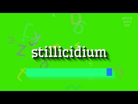 STILLICIDIUM - HOW TO PRONOUNCE IT?