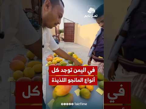 Yemeni Windows Media