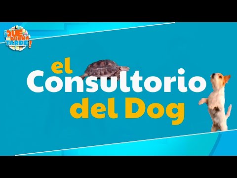 Veterinaria - Martes 09 de julio 2022