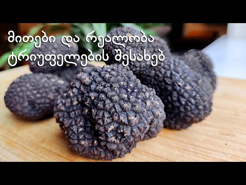 ტრიუფელებზე ნადირობა საქართველოში: მითები და რეალობა