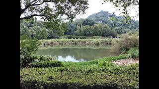 [問卦] 現在台北市民怎麼都在唱歌拿國旗了？