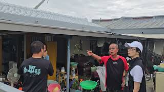 Re: [黑特] 台南災民：不要再瘋罷免了，我後悔投民