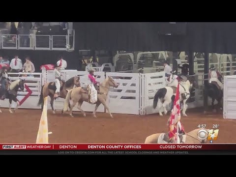 How cowboys at Fort Worth's Stock Show & Rodeo are adapting to the cold