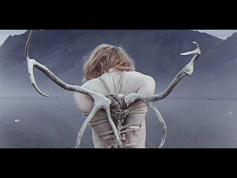 ± LONELY WHVLE ± - APATHY