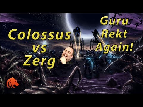 StarCraft 2: Void Rays & Colossus Play Style vs Zerg?!