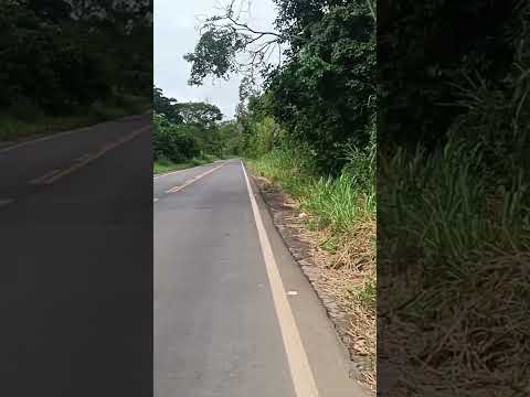 pedal Carangola  a Tombos MG.