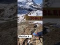 Matterhorn, Zermatt | travel Switzerland!