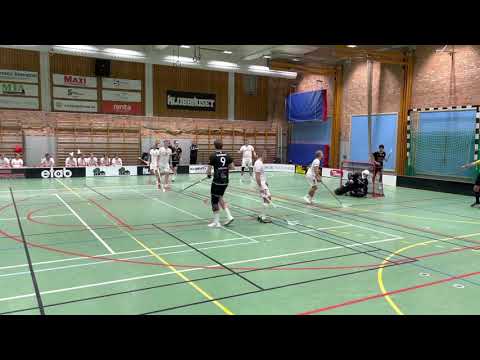 Highlights Åstorp/Kvidinge IBS - Landskrona Falcons 10-6