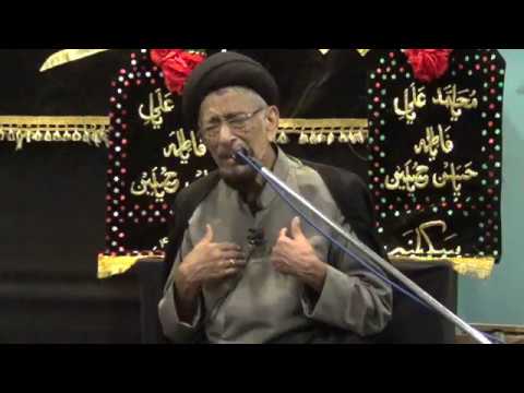 1439 - 29 Safar - 19 Nov 2017 (Day Majalis) - Maulana  Hamid ul Hasan -MeM