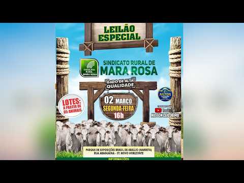LEILÃO ESPECIAL GADO DE CORTE - SINDICATO RURAL DE MARA ROSA 23/03/2026