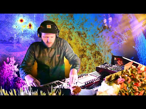 Frameworks LIVE at Dunraven Grove