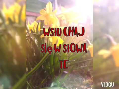 [eden w górę do gwiazd] #sloneczko #światło #przekaz