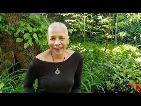 M.A.D.E. In The Garden Call to Artists