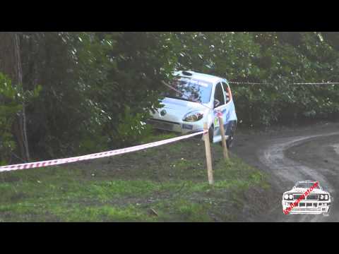 23° rally del ciocchetto 2014   Incidente n° 39 L  Marcucci A  Magnani