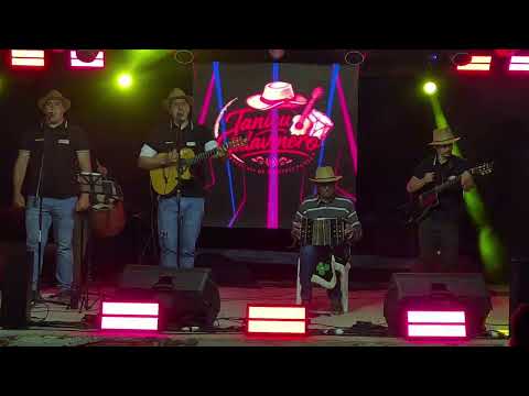 Juan Diaz "El bandoneón salavinero". Festival del Tanicu. Salavina 2026.